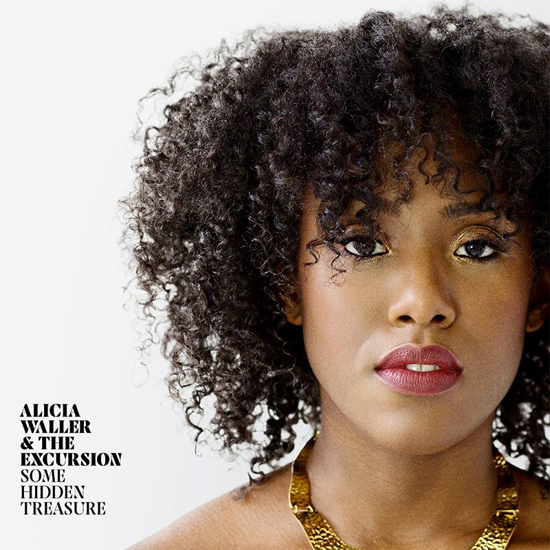 Cover of Some Hidden Treasure by Alicia Waller & The Excursion.